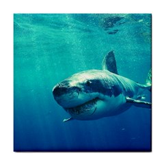 Great White Shark 1 Tile Coasters by trendistuff