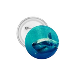 Great White Shark 1 1 75  Buttons by trendistuff