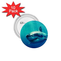 Great White Shark 1 1 75  Buttons (10 Pack) by trendistuff