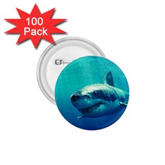 Great White Shark 1 1 75  Buttons (100 Pack)  by trendistuff