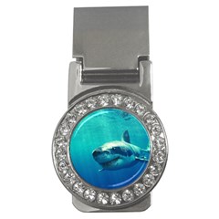 Great White Shark 1 Money Clips (cz)  by trendistuff