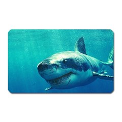 Great White Shark 1 Magnet (rectangular)