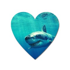 Great White Shark 1 Heart Magnet by trendistuff