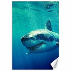 Great White Shark 1 Canvas 12  X 18   by trendistuff