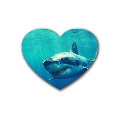 Great White Shark 1 Heart Coaster (4 Pack)  by trendistuff