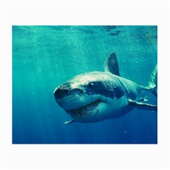 Great White Shark 1 Small Glasses Cloth (2-side) by trendistuff