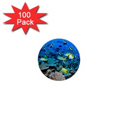 Fr Frigate Shoals 1  Mini Buttons (100 Pack) 