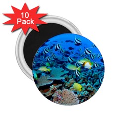 Fr Frigate Shoals 2 25  Magnets (10 Pack)  by trendistuff