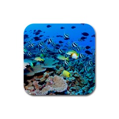 Fr Frigate Shoals Rubber Square Coaster (4 Pack)  by trendistuff