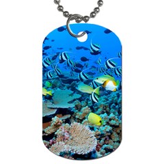 Fr Frigate Shoals Dog Tag (two Sides) by trendistuff