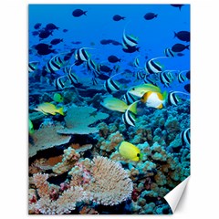 Fr Frigate Shoals Canvas 18  X 24   by trendistuff