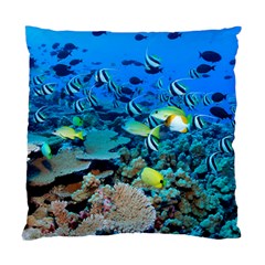 Fr Frigate Shoals Standard Cushion Case (one Side)  by trendistuff