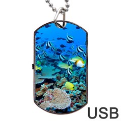 Fr Frigate Shoals Dog Tag Usb Flash (one Side)