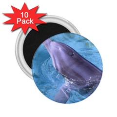 Dolphin 2 2 25  Magnets (10 Pack)  by trendistuff