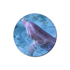 Dolphin 2 Rubber Round Coaster (4 Pack)  by trendistuff