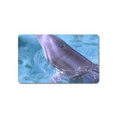 Dolphin 2 Magnet (name Card) by trendistuff