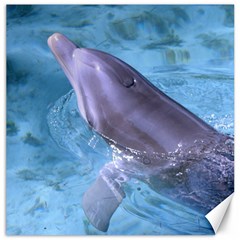 Dolphin 2 Canvas 20  X 20   by trendistuff