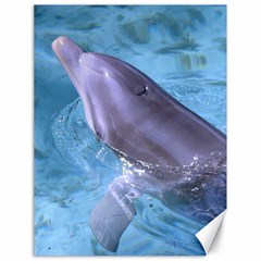 Dolphin 2 Canvas 18  X 24  