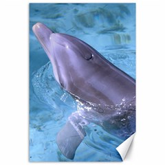 Dolphin 2 Canvas 24  X 36  by trendistuff