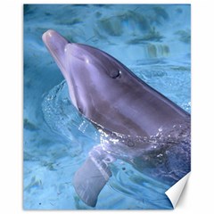 Dolphin 2 Canvas 11  X 14   by trendistuff