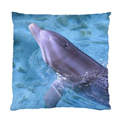 Dolphin 2 Standard Cushion Case (one Side)  by trendistuff