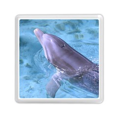 Dolphin 2 Memory Card Reader (square) 