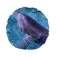 Dolphin 2 Standard 15  Premium Round Cushions by trendistuff