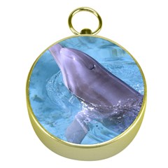 Dolphin 2 Gold Compasses by trendistuff