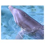 DOLPHIN 2 Double Sided Flano Blanket (Medium)  60 x50  Blanket Front