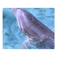 Dolphin 2 Double Sided Flano Blanket (large) 