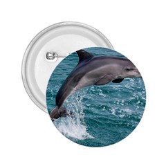 Dolphin 2 25  Buttons by trendistuff