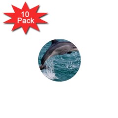 Dolphin 1  Mini Buttons (10 Pack) 