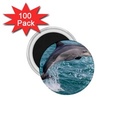 Dolphin 1 75  Magnets (100 Pack)  by trendistuff