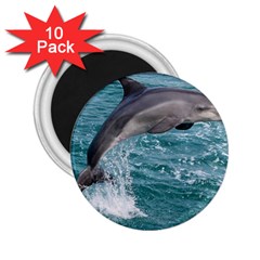 Dolphin 2 25  Magnets (10 Pack)  by trendistuff