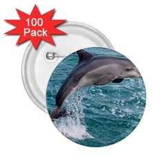 Dolphin 2 25  Buttons (100 Pack) 