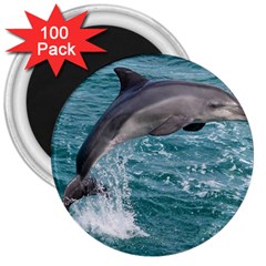 Dolphin 3  Magnets (100 Pack) by trendistuff