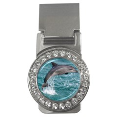 Dolphin Money Clips (cz)  by trendistuff