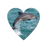 DOLPHIN Heart Magnet Front