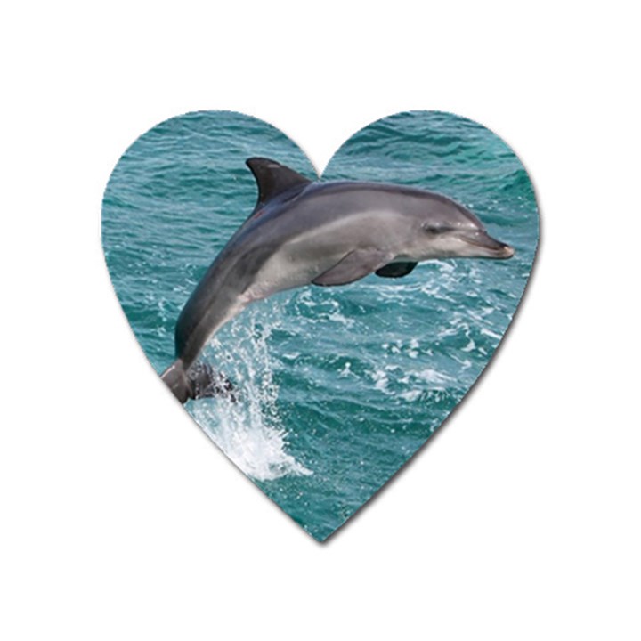 DOLPHIN Heart Magnet