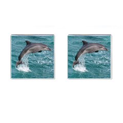 Dolphin Cufflinks (square) by trendistuff