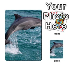 Dolphin Multi-purpose Cards (rectangle)  by trendistuff