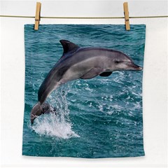 Dolphin Face Towel by trendistuff