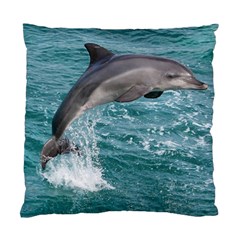 Dolphin Standard Cushion Case (one Side)  by trendistuff