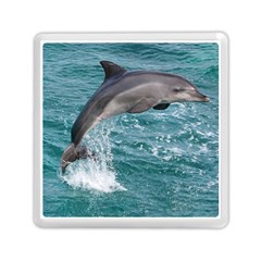 Dolphin Memory Card Reader (square) 