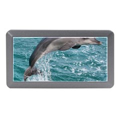 Dolphin Memory Card Reader (mini) by trendistuff