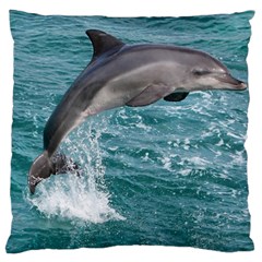 Dolphin Large Cushion Cases (one Side)  by trendistuff