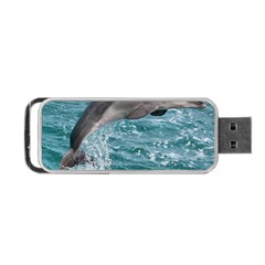 Dolphin Portable Usb Flash (one Side)