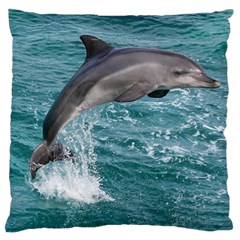 Dolphin Standard Flano Cushion Cases (two Sides) 