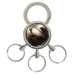 Cute Sea Lion 3-ring Key Chains by trendistuff