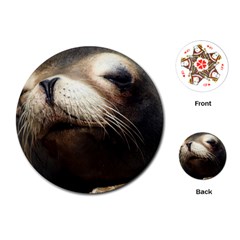 Cute Sea Lion Playing Cards (round)  by trendistuff